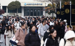 3 ngành học sẽ trở thành "mỏ vàng" trong 5 năm tới, AI khuyên tìm hiểu ngay