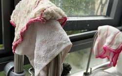 Đến lạy gia đình nào vẫn "chấp niệm" giữ 6 thứ độc hại này trong bếp