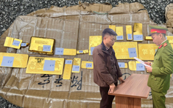 Phá chuyên án xuyên quốc gia, bắt Trần Kim Tuyến sinh năm 1985, tịch thu hàng trăm cân vàng bạc