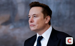 Elon Musk: 20 năm nữa AI sẽ hoàn toàn thay con người làm việc, đây là kỹ năng tất cả cần biết để sống sót