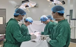 Cứu sống 2 mẹ con du khách Nga chấn thương sọ não nguy kịch