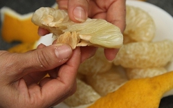 Bưởi rất tốt, nhưng kết hợp với thứ này chẳng khác nào độc dược tàn phá gan