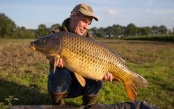 Vì sao người Mỹ không chuộng ăn cá chép?