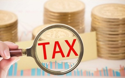 Thuế TP.HCM cảnh báo nóng đối với các hành vi gian lận về thuế, hóa đơn