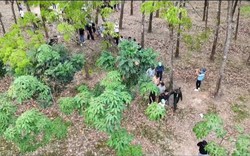 Phát hiện hơn 80 người tập trung tại một khu đất  trống, công an sử dụng công nghệ cao vào cuộc