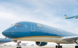5 ký tự giúp nâng hạng thương gia miễn phí mà khách hàng Vietnam Airlines phải biết