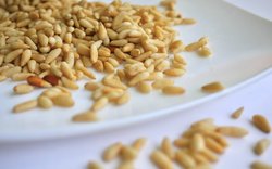 Loại hạt "tí hon" nhưng là "gã khổng lồ" dinh dưỡng, tốt cho tim mạch, chống lão hóa và bảo vệ mắt, ở Việt Nam rụng đầy gốc nhưng ít ai ăn