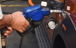 Giá xăng RON 95 vượt 29.000 đồng/lít dù đã chi mạnh Quỹ Bình ổn xăng dầu