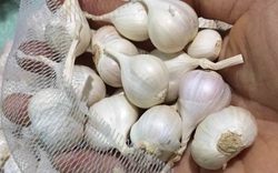 Mẹo bảo quản hành tím, tỏi khô để cả năm vẫn thơm ngon