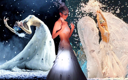 Táo đỏ không giúp bạn trẻ như Dương Lệ Bình, nhưng học 1 điều từ "chim công làng múa" sẽ làm bạn bớt lão hóa