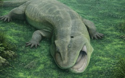 9 quái vật từ "lục địa đã mất" gây sốc cho giới khoa học