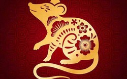 Top 5 con giáp hợp đeo và mua bạc