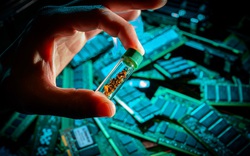 Nga công khai "bắt tay" với Trung Quốc, tìm ra cách thu vàng mà không cần tốn công đào bới