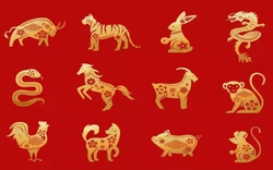 4 con giáp may mắn bậc nhất trong tháng 2 âm: Sự nghiệp thăng tiến, tài lộc đủ đầy, tình duyên viên mãn