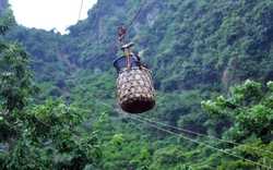 Đặc sản vùng núi phía Bắc được ví như "vua của các loại", Chủ tịch xã từng trực tiếp bán trên livestream