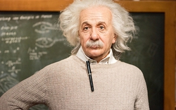 Có thật là Albert Einstein đã nói: "Không thể bắt con cá leo cây"?