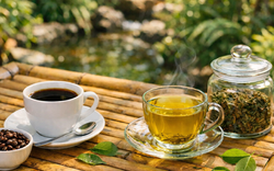 Đẩy lùi gan nhiễm mỡ nhờ uống cà phê, trà mỗi ngày