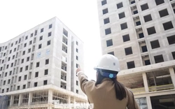 Vì sao giá bất động sản vẫn 'neo' cao?