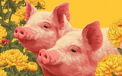 4 con giáp sắp đón tin vui từ tháng 2 Âm lịch: Sự nghiệp thăng tiến, tiền tài như ý, dễ đạt đỉnh cao vận may