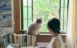 Vì sao ngày càng nhiều người chọn sống ở tầng hai? Sau khi ở thử, nhiều người thừa nhận: “Quyết định đáng giá nhất”