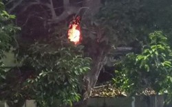 Cháy lớn tại bệnh viện, 10 bệnh nhân tử vong