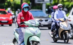 Miền Bắc trải qua mùa đông ấm thứ hai trong lịch sử