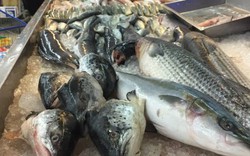 Hoa mắt trước quầy cá siêu thị: Nhân viên chỉ 3 loại "vô địch DHA", tốt cho não, giá vừa túi tiền