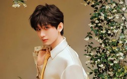 Thành Nghị vướng nghi vấn gian lận tuổi tác