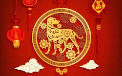 Top 3 con giáp sinh ra để báo ân, từ bé đã là "bảo vật" giúp cha mẹ đổi vận, gia đạo hưng thịnh