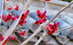 4 cây trồng trước cửa "hút tài lộc" mạnh hơn cả kim tiền, nhà giàu Trung Quốc âm thầm trồng từ lâu