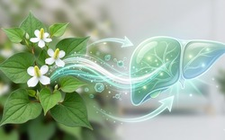 Loại rau gia vị phải 'bịt mũi' khi ăn nhưng hỗ trợ thải độc gan cực tốt