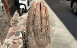 Đào được nguyên "bàn tay" trong vườn nhà, cụ ông hốt hoảng khi có người trả tới 28 triệu đồng để sở hữu