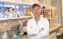 Nhận gần 130 triệu đồng để "chạy" suất học thạc sĩ: Giáo sư trường danh tiếng bị truy tố