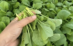 5 loại rau nên mua ngay lúc này: Giá rẻ, ít calo, chợ Việt nào cũng bán