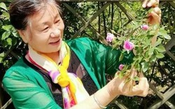 Sân 60m² giữa phố trồng hàng trăm loại rau: Cuộc sống hưu trí khiến nhiều người ước ao vì mỗi ngày ăn một loại rau khác nhau