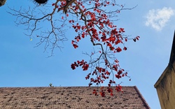 Hình ảnh Côn Đảo vào "mùa đẹp nhất năm"