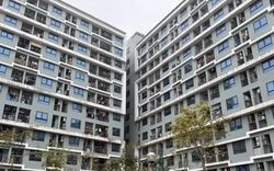 Vợ chồng có tổng thu nhập không quá 50 triệu đồng mỗi tháng sẽ được mua nhà ở xã hội