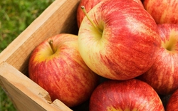 "Nuôi dạ dày chính là nuôi dưỡng sự sống": 5 loại thực phẩm "yêu thích" của niêm mạc dạ dày, nên ăn mỗi ngày, đừng tiếc!