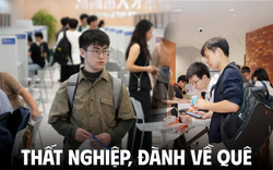 Gửi 100 CV chỉ để nhận ra “cơ hội không dành cho mình”: Ở lại thành phố nghĩa là tiếp tục tiêu tiền, đành về quê