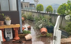 Có nên mua căn hộ có sân thượng? Người từng sống ở đây nói thẳng: Lãng mạn thì ít, đánh đổi thì nhiều