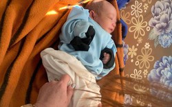 Phát hiện bé sơ sinh bị bỏ rơi trong rẫy cà phê ở Gia Lai