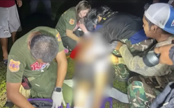 Đi vệ sinh lúc rạng sáng, cụ ông 87 tuổi bất ngờ chạm trán "sinh vật khổng lồ": Cái kết ám ảnh