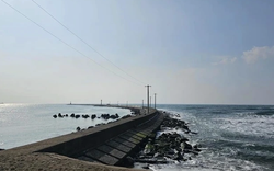 8 người Việt gặp nạn tại Nhật Bản, 1 người tử vong, 3 người mất tích