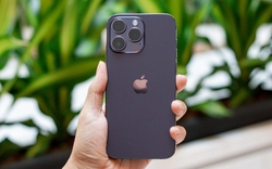 Chiếc iPhone cũ đang giảm giá chạm đáy ngay lúc này