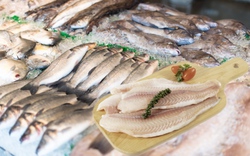 550 nhà hàng Nhật dùng 1 loại cá sông Việt Nam thay thế lươn nướng xa xỉ, tạo kỷ lục 34 triệu đô la