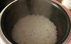 Bác sĩ chuyên khoa Phổi cảnh báo người dùng nồi cơm điện