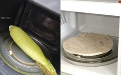 Năm ấy chê lò vi sóng vô dụng, bây giờ hàng triệu người "quay xe": 5 món ngon làm trong vài phút