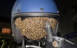 Treo mũ bảo hiểm qua đêm, người phụ nữ sốc nặng khi thấy cảnh tượng "nổi da gà"