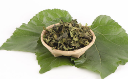 Đừng chỉ ăn quả, lá cây này quý như "nhân sâm của người nghèo", đang vào mùa đi chợ là thấy