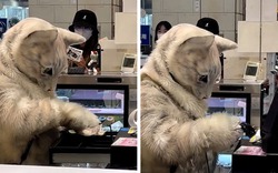 13 bức ảnh chứng minh Nhật Bản không thuộc hành tinh này